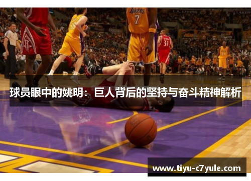 球员眼中的姚明：巨人背后的坚持与奋斗精神解析