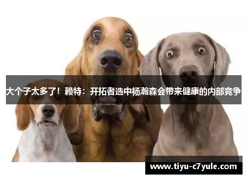 大个子太多了！赖特：开拓者选中杨瀚森会带来健康的内部竞争